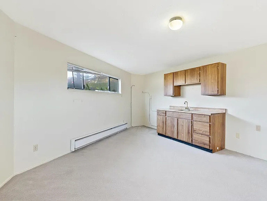 The original kitchenette before renovation: dated timber cabinets and a baseboard heater.